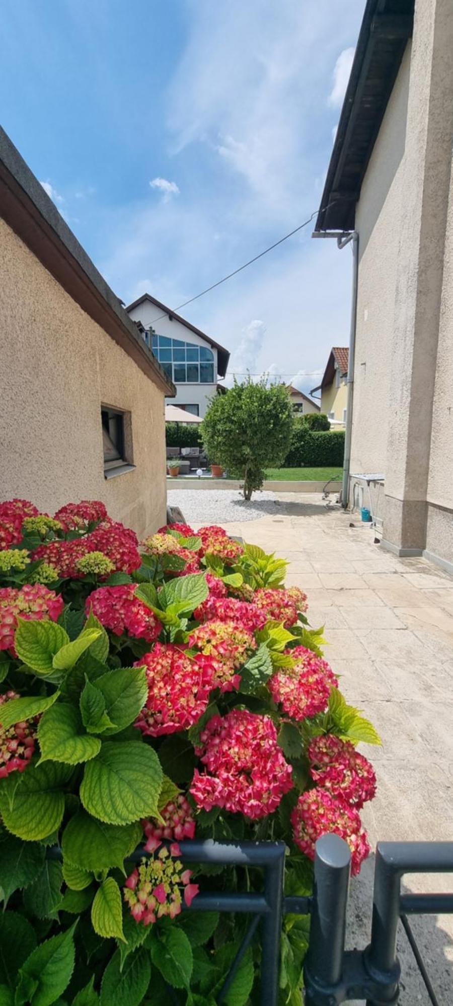 Villa Privat House Lena With Garden&Free Parking Lubiana Esterno foto